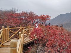 -水峪民俗村