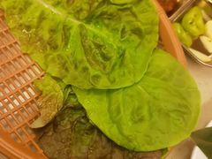 波士顿生菜-福云龙(黄河南大街店)