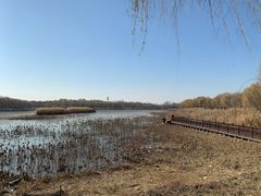 -北京麋鹿生态实验中心