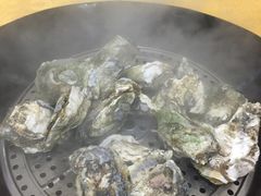 -蚝专家(北滘店)