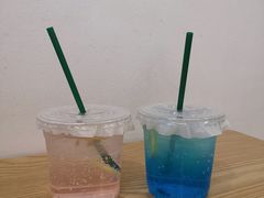 -有喵·猫咖·狗咖·30几只猫10只小狗(岗厦店)