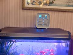 -智慧盲人按摩艾灸-颈肩腰膝疼痛调理(浦东店)