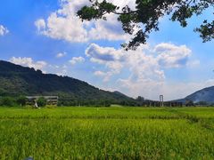 -风云岭森林公园