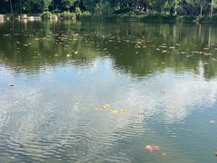 -泰州凤城河风景区-泰山公园