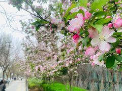 -当代MOMAKIDS托育中心