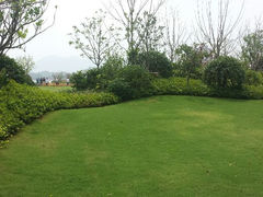 android_upload_pic-舟山朱家尖绿城威斯汀度假酒店