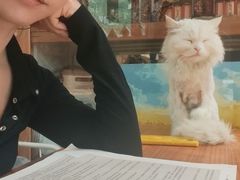 -小时光咖啡馆(开森度假森林店)