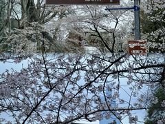-鸡鸣寺