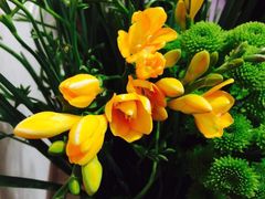 -奥美花店(天津市住房公积金管理中心河东管理部店)