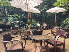 -Fern Forest Cafe