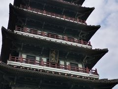 -宜兴龙背山森林公园