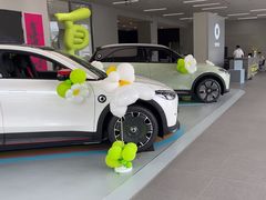 -上海浦东smart汽车全功能店(金桥店)