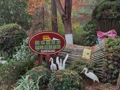 -东平国家森林公园