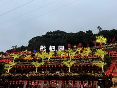-枇杷园食为鲜火锅(南山店)