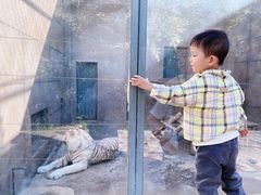 -西安秦岭野生动物园