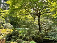 -三千院