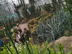 -北京植物园-展览温室