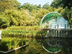 -深圳国际园林花卉博览园