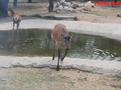 -西安秦岭野生动物园
