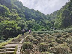 -西湖风景区十里琅珰-五云山