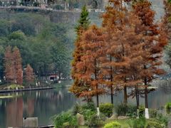 -重庆彩云湖湿地公园