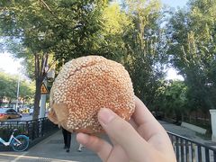 -清真·鸦儿李记·小馆(后海店)
