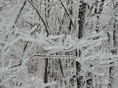 -中旅松花湖滑雪场