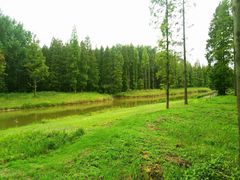 -黄海国家森林公园