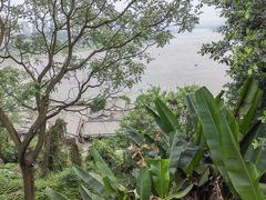 -大渡口区义渡公园