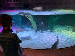 -沈阳海洋探索中心