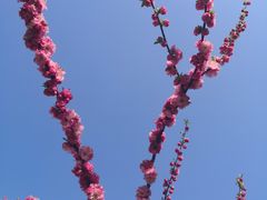 -燕窝岭