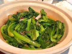 砂锅油麦菜-撒椒·四川江湖菜(大族广场店)