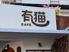 -有猫主题·治愈系猫咖(曾厝垵店)