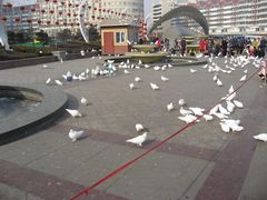 -海河外滩公园