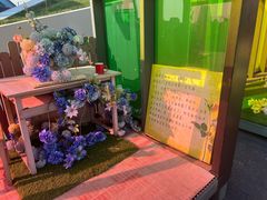-荷兰花海