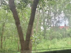 -合肥滨湖国家森林公园