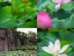 -广州莲花山旅游区