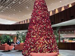-北京望京凯悦酒店The Lounge大堂酒廊