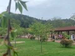 -绵阳盛世樱花悠乐谷