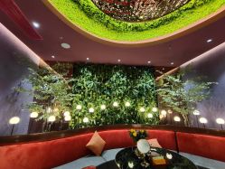 -花隐·美芙炫海菲秀皮肤管理中心