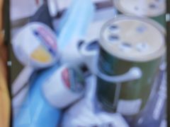 -立邦(汶水红星美凯龙专卖店)