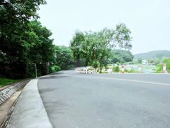-狮麟驾校
