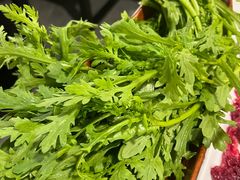 -食潮汕头鲜牛馆(望京保利店)