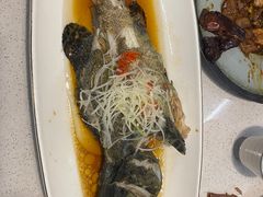 清蒸石斑鱼-会宾园·云山宴中餐