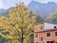 -洛阳白云山景区