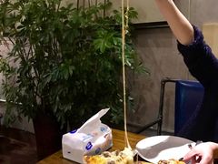 -百好乐宠物友好餐厅(朝外大街店)