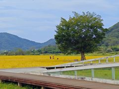 -风云岭森林公园