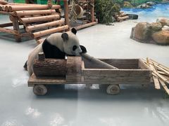 -柳州市动物园