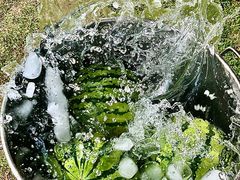 -七的湖·晚芳亭·阳澄湖农家菜·大闸蟹(莲花岛店)