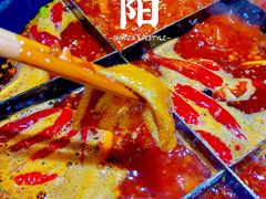 -小红碗老火锅(1958店)